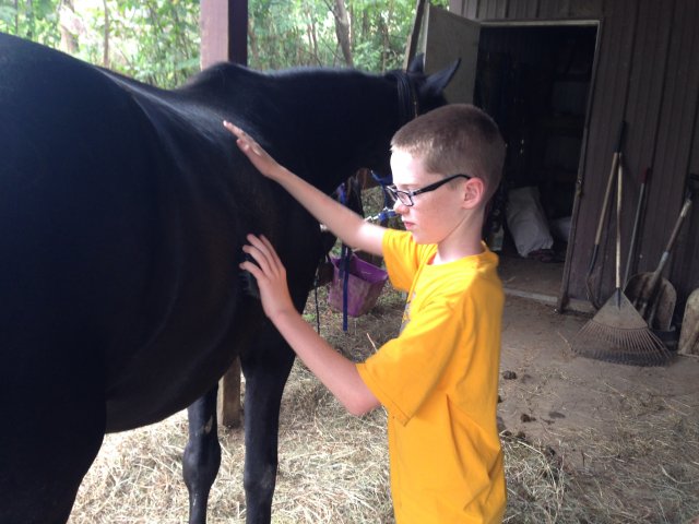 2017 Horseback Riding